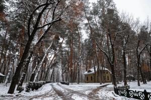 una casa en medio de un bosque cubierto de nieve en Kohavi Forest Club en Orlovshchina