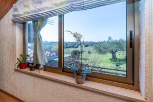 Zahrada ubytování Holiday Home Cohar