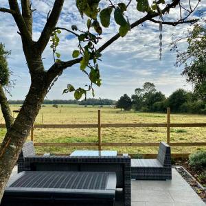 a bench sitting under a tree next to a field at Piglet Cottage. A well equipped home from home. in Uggeshall