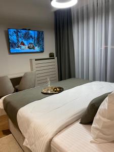 una camera con letto e TV a parete di BW Sky View Belgrade Waterfront a Belgrado