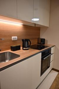 a kitchen with a sink and a counter top at BW Sky View Belgrade Waterfront in Belgrade