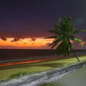 una palma su una spiaggia al tramonto di Brennand a João Pessoa