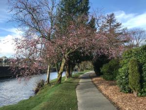 Gallery image of Winchester House in Keswick