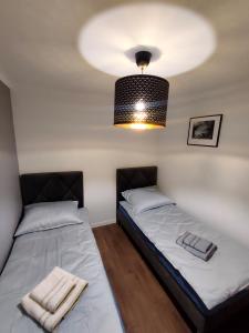 Duas camas individuais num quarto com luz. em Apartament Krzemyk em Sandomierz