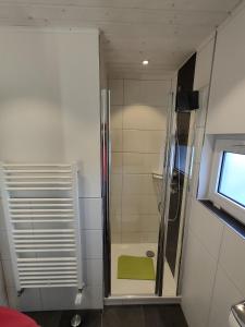 a shower with a glass door in a bathroom at Ferienhaus "Sommerbrise" in Gager +58 photos