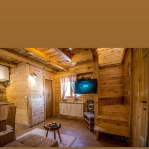 a living room with wooden walls and a television at Tisina Tare in Bajina Bašta