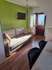 een woonkamer met een bank en een groene muur bij Apartament Stanisława in Zakopane