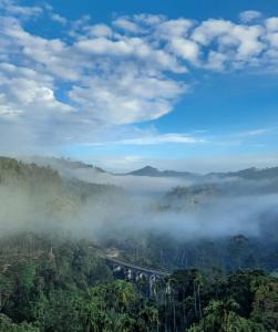 a road in the middle of a forest covered in fog at Ella Nine Arch lodge in Ella