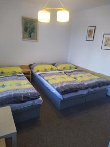 Postelja oz. postelje v sobi nastanitve Penzion Borovice