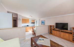 Μια τηλεόραση ή/και κέντρο ψυχαγωγίας στο Anitavilla Poreč Apartments with Pool