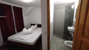 Koupelna v ubytování Casa Miorița