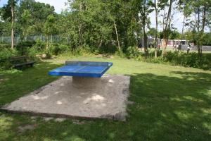 Stolní tenis v ubytování Rekerlanden 267 nebo okolí