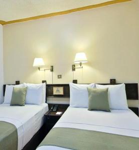two beds in a room with two lamps on the wall at Mision Xalapa Plaza de las Convenciones in Xalapa
