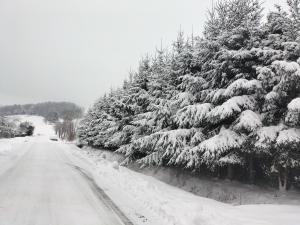 Domek całoroczny Pod Bieszczadzkim Aniołem v zime