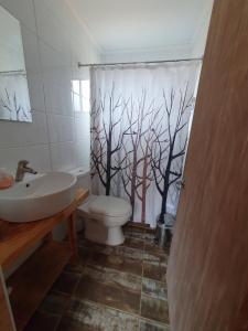 baño con aseo y cortina de ducha con árboles en Cabañas Olas del Bosque, en Pichilemu 13 fotos más