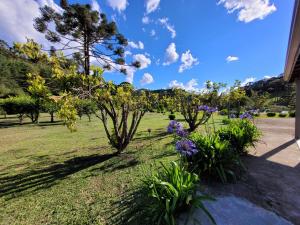 a garden with purple flowers in the grass at Chalé, Recanto da Natureza in Gonçalves