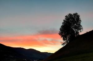 uma árvore sentada no topo de uma colina ao pôr-do-sol em Bonapart em Stumm