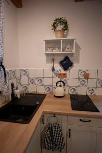 Kuchnia lub aneks kuchenny w obiekcie Apartmán Stodola1 Harrachov