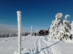 Obiekt Apartmán Stodola1 Harrachov zimą