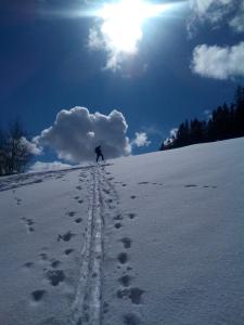 Obiekt Apartmán Stodola1 Harrachov zimą