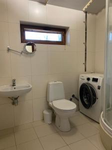 ein Badezimmer mit Toilette und Waschmaschine in der Unterkunft Двухуровневая квартира на Дерибасовской in Odessa