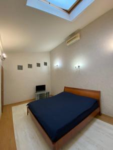 ein Schlafzimmer mit einem Bett und einem Dachfenster in der Unterkunft Двухуровневая квартира на Дерибасовской in Odessa