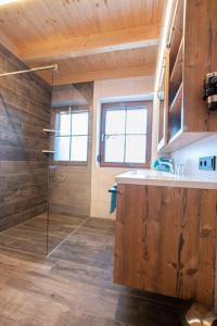 a bathroom with a shower and a sink at Chalets und Apartments Hauserhof Nassfeld in Schlanitzen