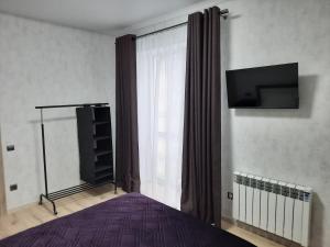 a bedroom with a bed and a tv and a window at Апартаменти у Сонячному Закарпатті in Polyana