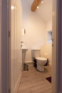 La salle de bains est pourvue de toilettes et d'un lavabo. dans l'établissement Blodyn Cottage - Cosy, Self-Catering with Private Hot Tub, à Bodfari