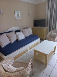 TV a/nebo společenská místnost v ubytování Les Bosquets 3 - Piscine chauffee