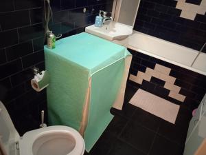 a small bathroom with a toilet and a sink at Bajloni lux in Belgrade