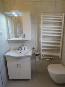 a bathroom with a sink and a toilet and a mirror at Sani Apartments in Začretje