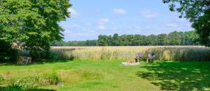 two chairs sitting in the middle of a field at Landhäuschen Anderswo in Bocholt