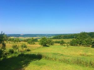 a field of grass with trees in the distance at L'Arbre à Cabane in Guyonvelle