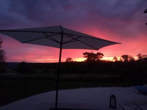 Foto sihtkohas Guyonvelle asuva majutusasutuse L'Arbre à Cabane galeriist