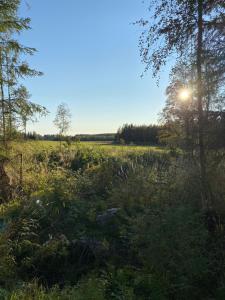 Kuvagallerian kuva majoituspaikasta Cottage Stranden, joka sijaitsee Kruunupyyssä
