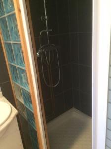 um chuveiro na casa de banho com um WC e um lavatório em Le Coin Tranquille au pied du Puy de Dôme em Pontgibaud