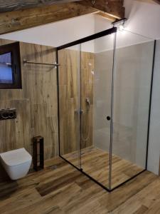 a glass shower in a bathroom with a toilet at Ερυθρελάτη in Kalavrita