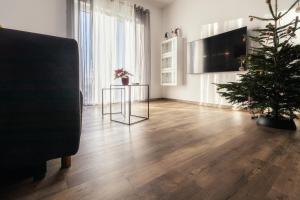 TV a/nebo společenská místnost v ubytování Ferienwohnung Bergäcker