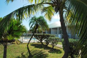 a resort with palm trees and a swimming pool at Esmeralda Resort in Orient Bay