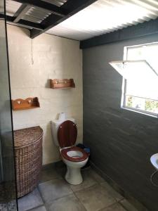 a bathroom with a toilet and a window and a sink at Douglas Drift Cottages in Underberg