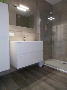 ein Badezimmer mit einem weißen Waschbecken und einer Dusche in der Unterkunft La Roche en Ardenne , welcome in La-Roche-en-Ardenne