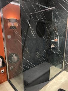 La salle de bains est pourvue d'une douche avec une porte en verre. dans l'établissement Studio Cosy tt confort proche aéroport, à Colombier-Saugnieu