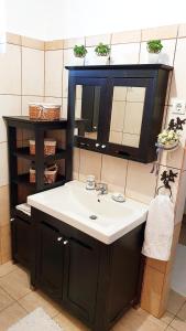 La salle de bains est pourvue d'un lavabo et d'un miroir. dans l'établissement Bogyólak Palkonya, à Palkonya