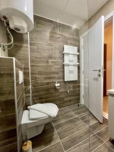 a bathroom with a toilet and a shower at Milmari N69 in Kopaonik +5 photos
