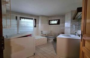 a bathroom with a toilet and a sink at Alpenrose Saint Gervais les Bains in Saint-Gervais-les-Bains
