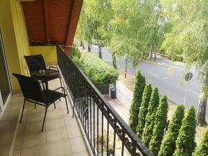 Vonkajšia záhrada v ubytovaní Villa Viktoria