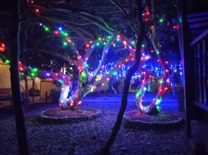 um grupo de árvores decoradas com luzes de Natal em Guest house Lev em Pizunda