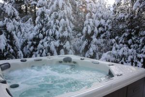 Chalets et Studios Le Vent Du Nord في لاك سوبريور: حوض استحمام ساخن أمام شجرة مغطاة بالثلج