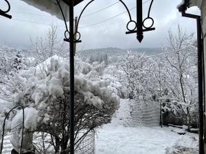 Zabava v zimě + 41 fotografií